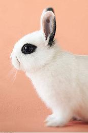 《星空》任务可重玩性很高 你会发现更好选择